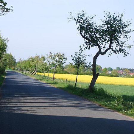 Ferienwohnung Im Gruenen - Hof Blohme Langwedel  Luaran gambar
