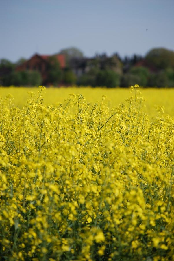 Ferienwohnung Im Gruenen - Hof Blohme Langwedel  Luaran gambar